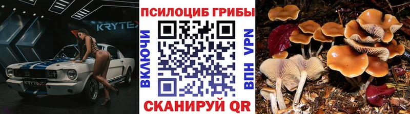Галлюциногенные грибы мицелий ссылка на мегу ссылки Волгодонск