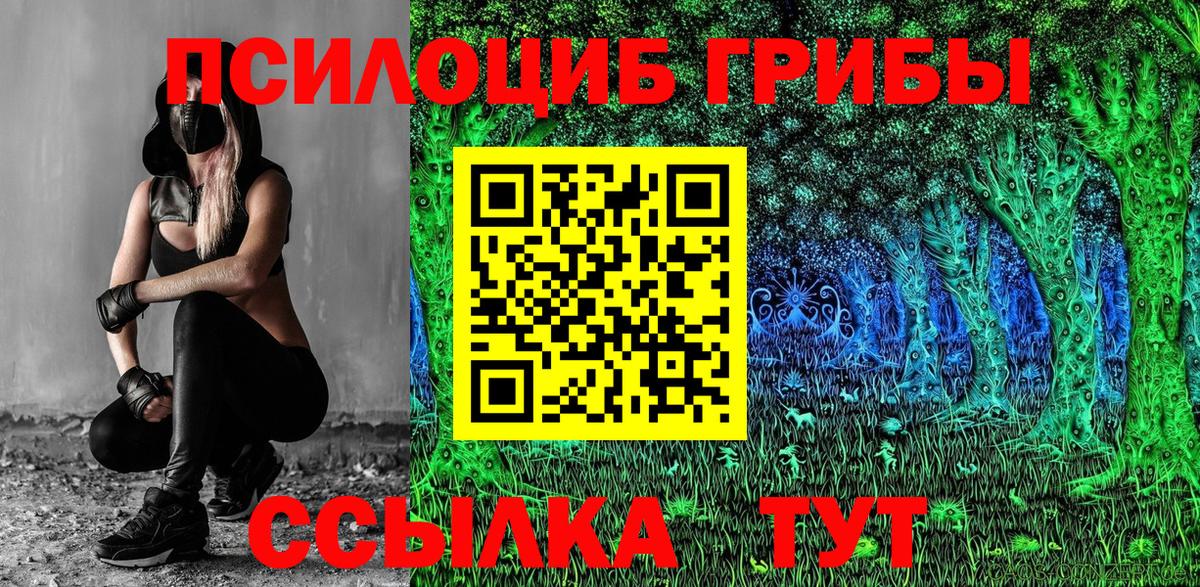 Волгодонск  Псилоцибиновые грибы Psilocybine cubensis  сколько стоит  Вход с VPN 